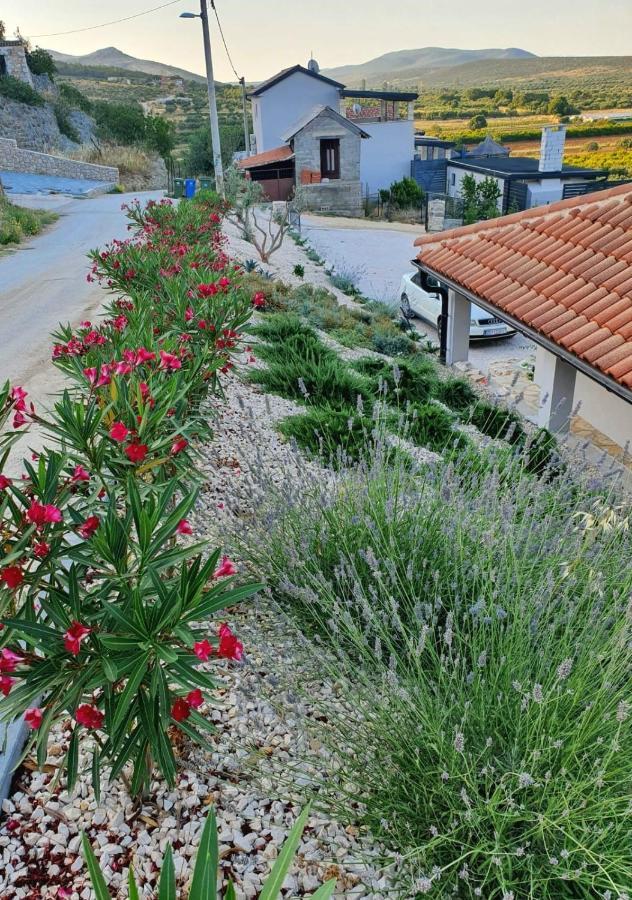 Brand New Villa Cara D Oro, Vrana Vrana  المظهر الخارجي الصورة